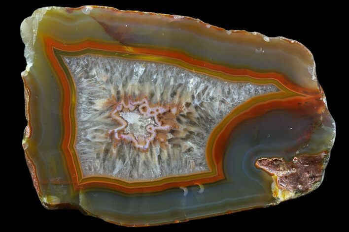 Beautiful Condor Agate From Argentina - Cut/Polished Face #79482